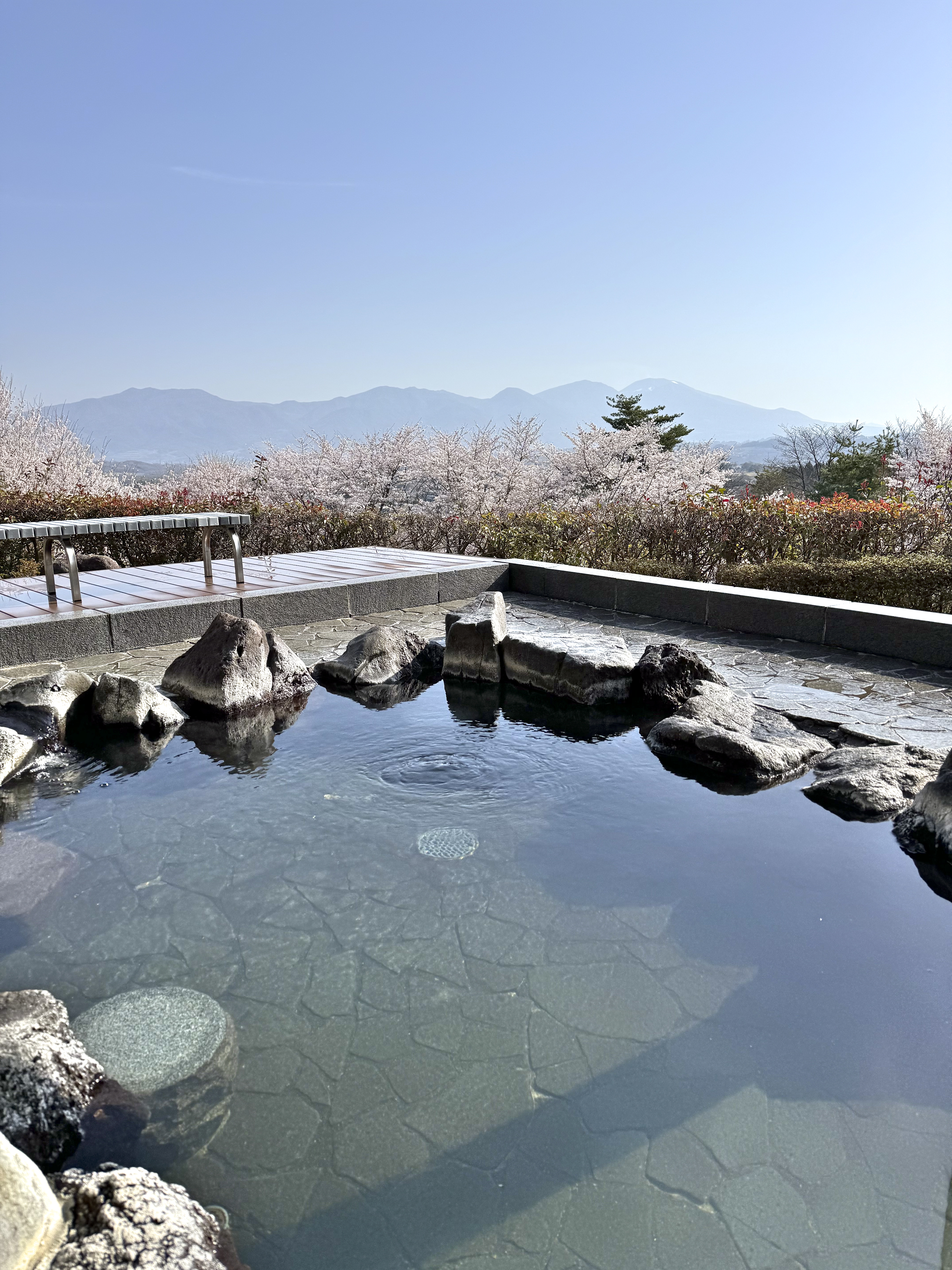 温泉立科温泉 権現の湯