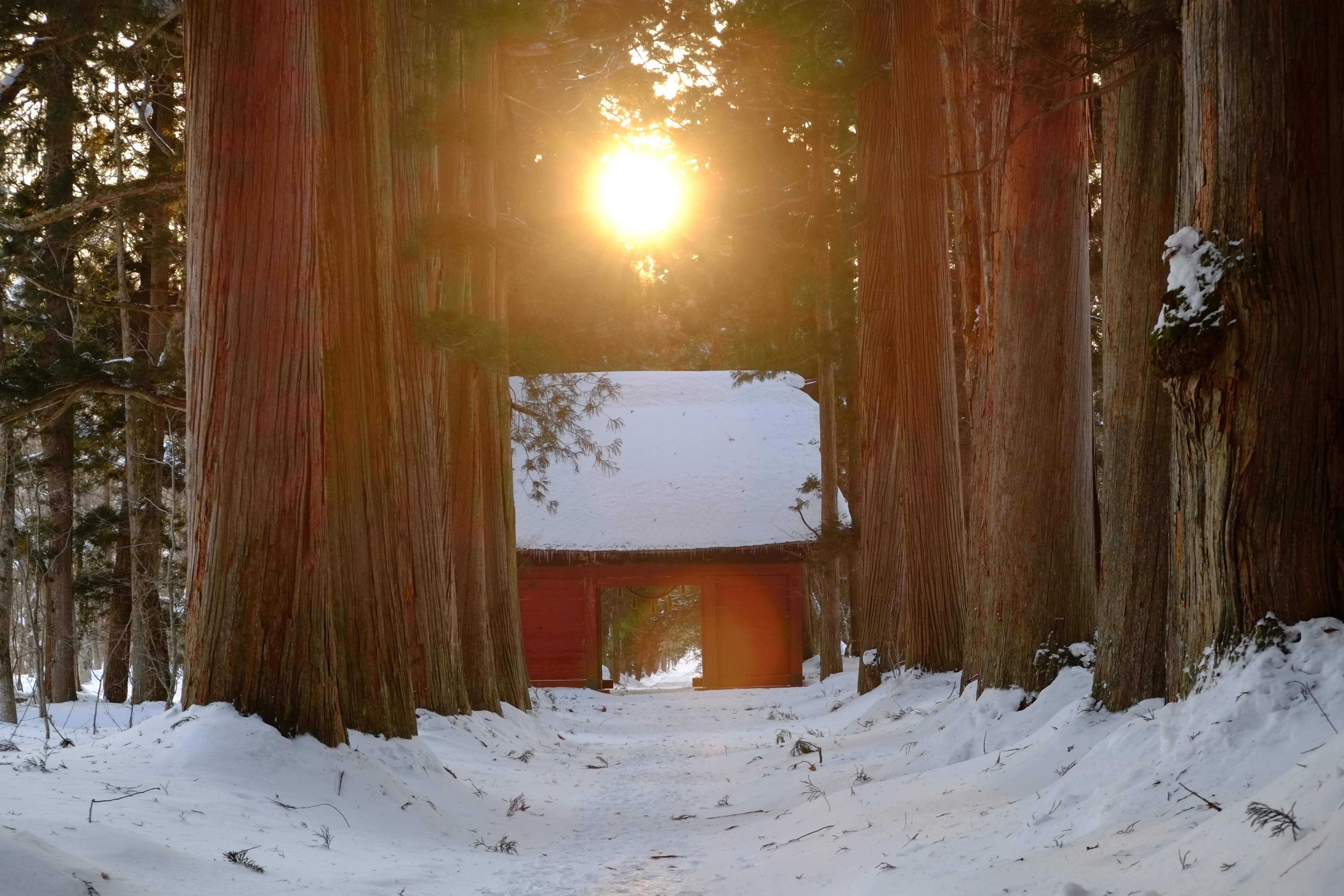 絶景戸隠神社