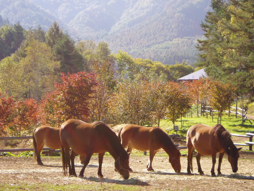 絶景開田高原