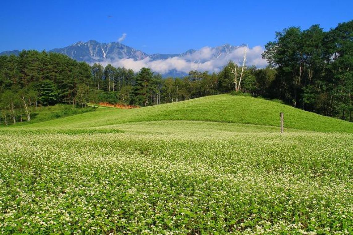 絶景中山高原