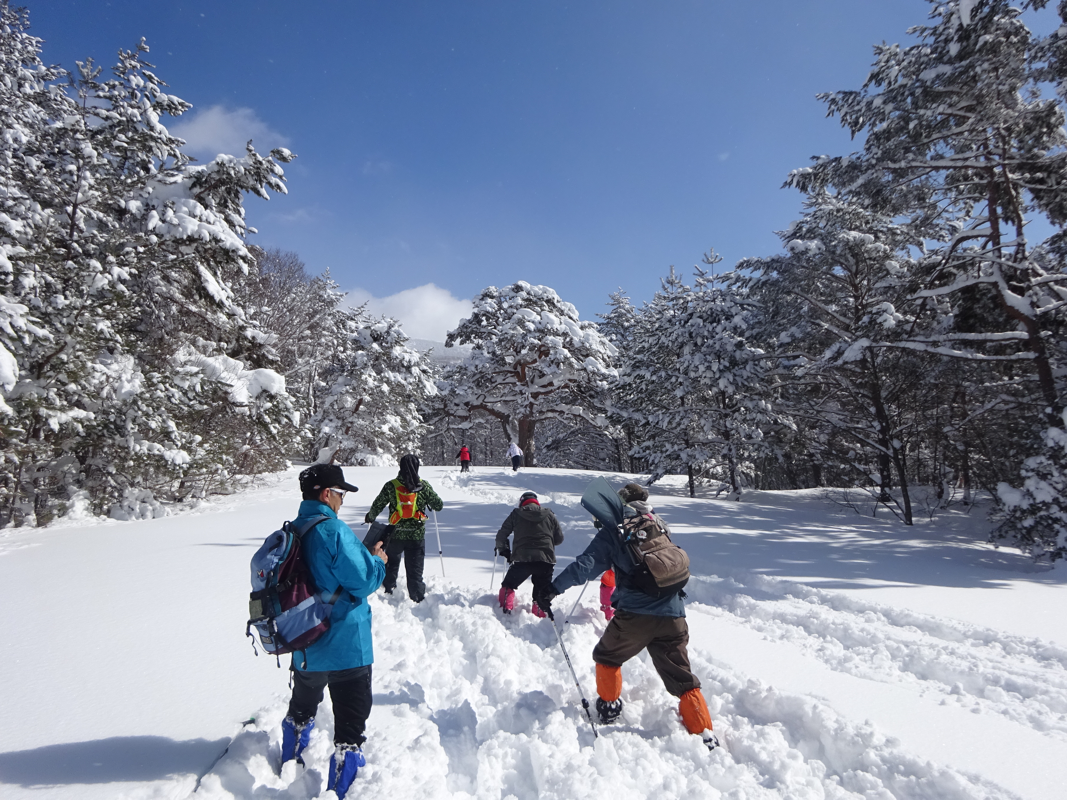 体験NPO法人 やまぼうし自然学校